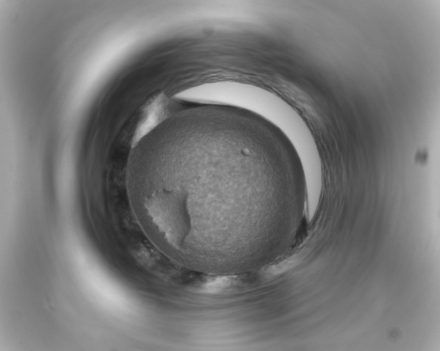 X0000093560382200710291024