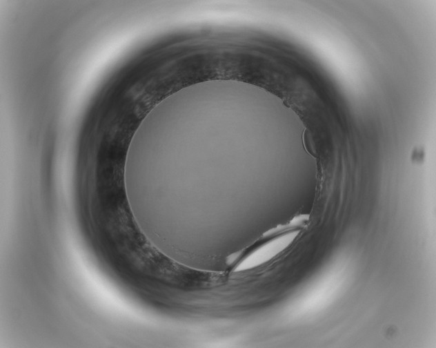 X0000093560383200710291024