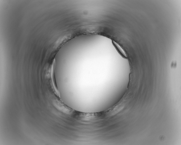 X0000093560384200710291024