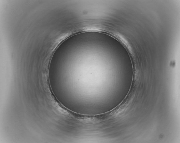 X0000093560385200710291024