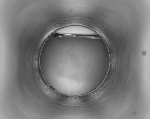 X0000093560386200710291024