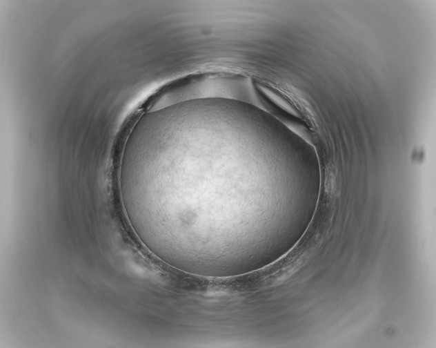 X0000093560388200710291023