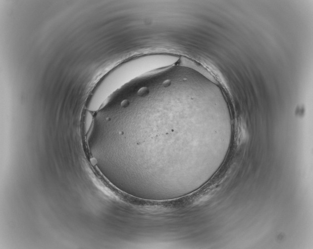 X0000093560389200710291023