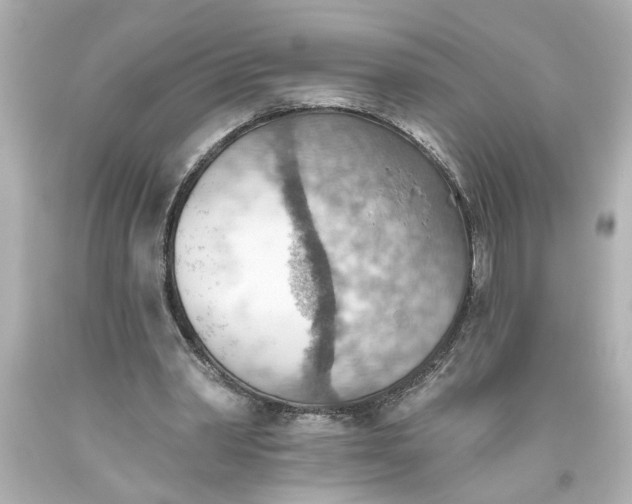 X0000093560390200710291023