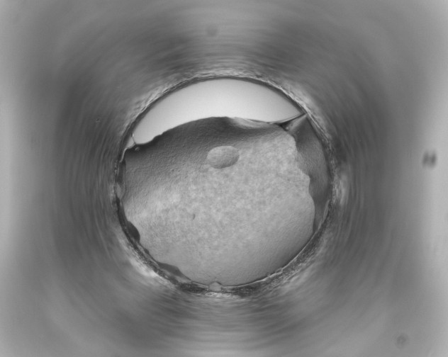 X0000093560393200710291023