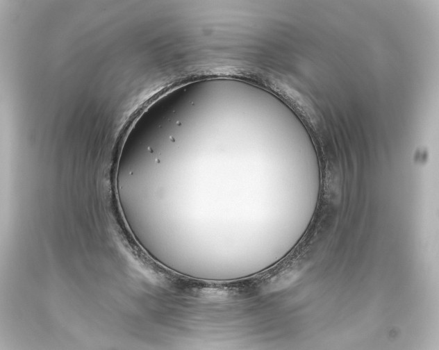 X0000093560394200710291023