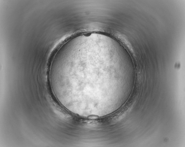 X0000093560395200710291023