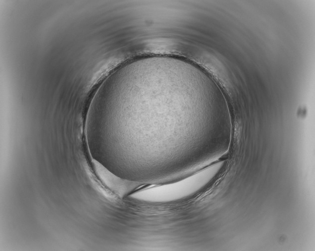 X0000093560397200710291023