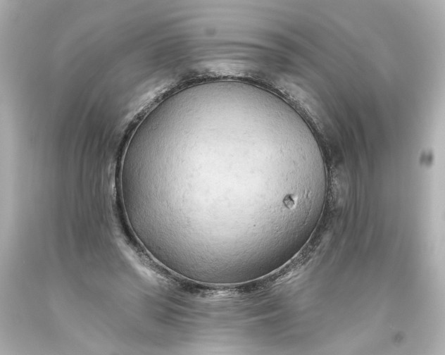 X0000093560398200710291023