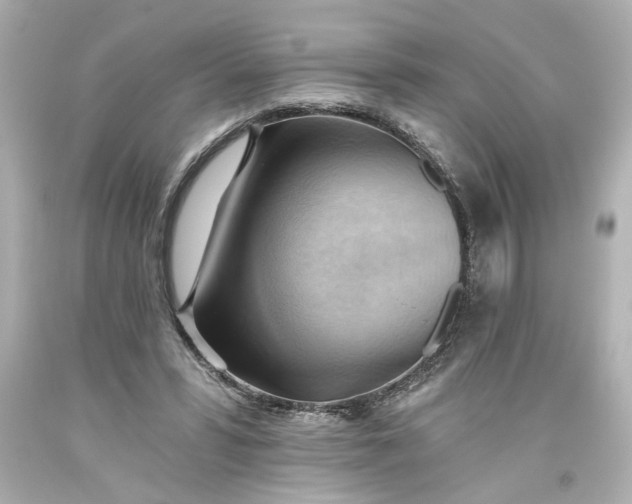 X0000093560399200710291023