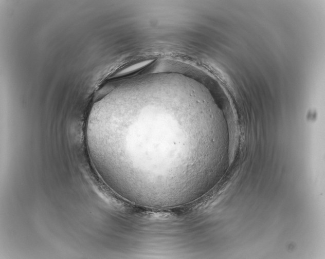 X0000093560401200710291023