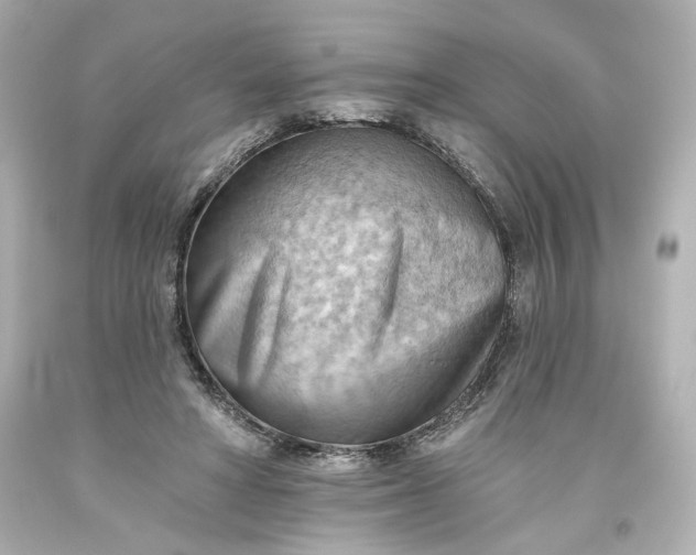 X0000093560402200710291023