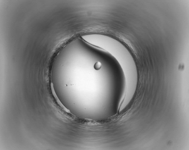 X0000093560403200710291023