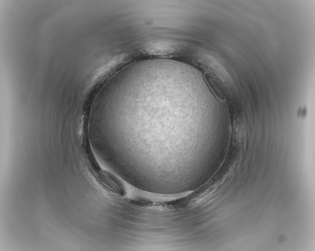 X0000093560404200710291023