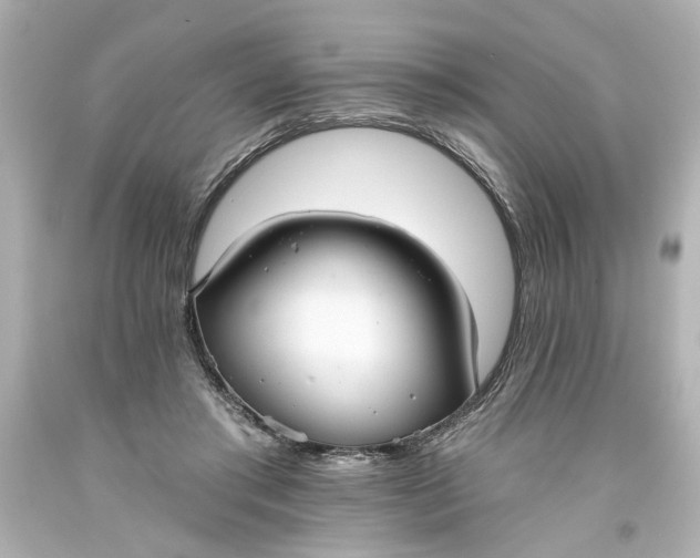 X0000093560405200710291023