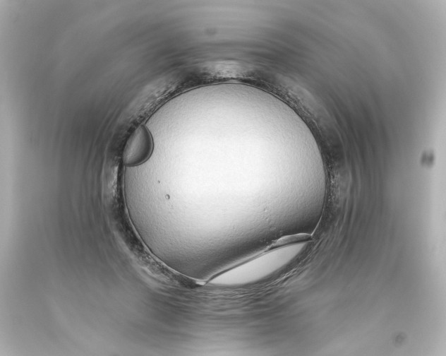 X0000093560406200710291023