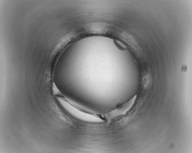 X0000093560407200710291023