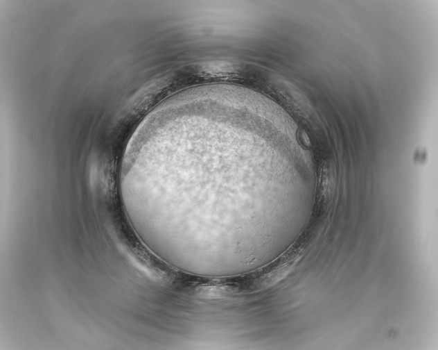 X0000093560408200710291023