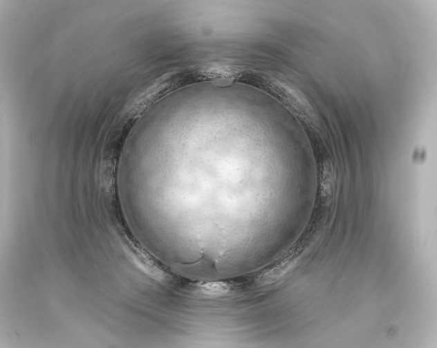 X0000093560409200710291023