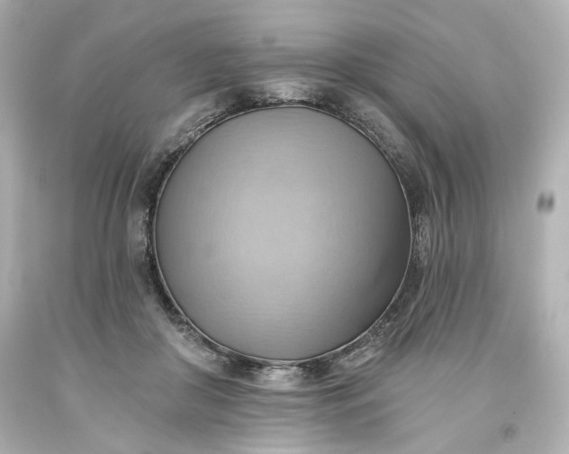 X0000093560410200710291023