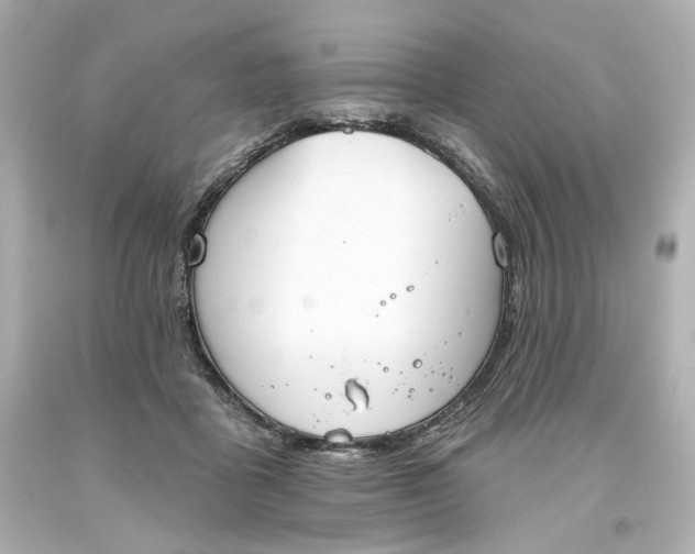 X0000093560411200710291023