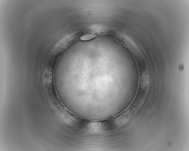 X0000093560413200710291023