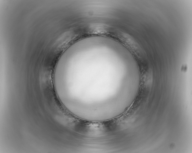 X0000093560415200710291023