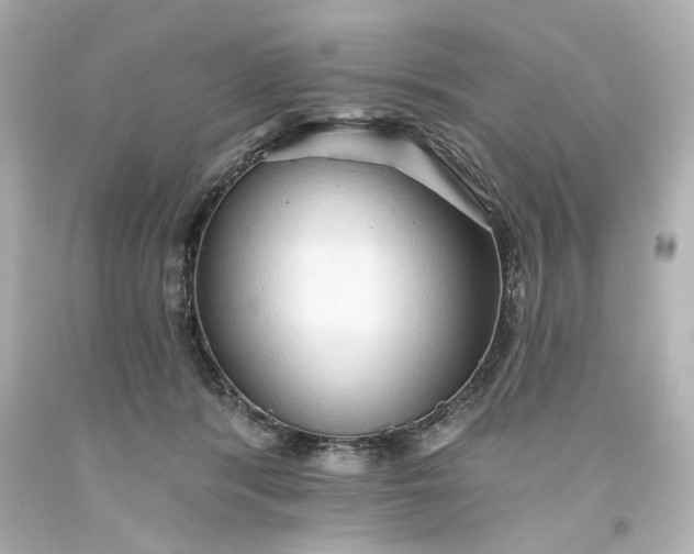 X0000093560416200710291023