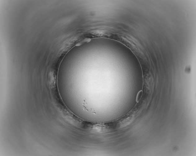 X0000093560420200710291023