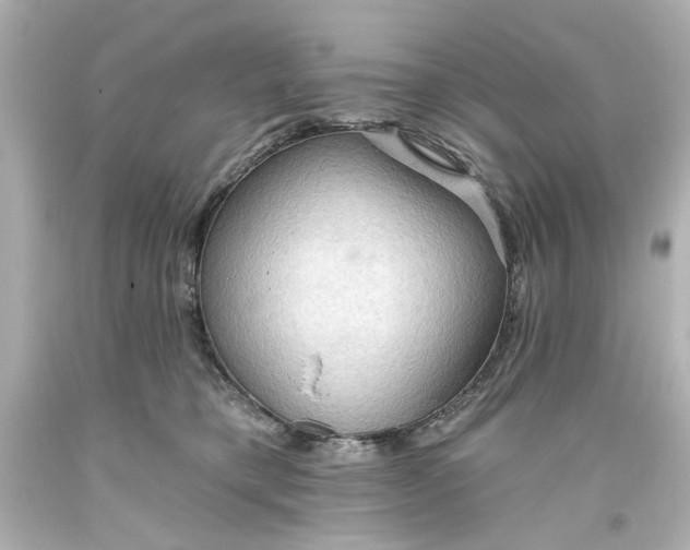 X0000093560421200710291023