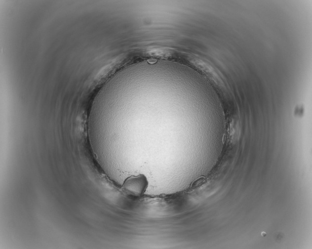 X0000093560424200710291023