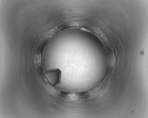 X0000093560425200710291023