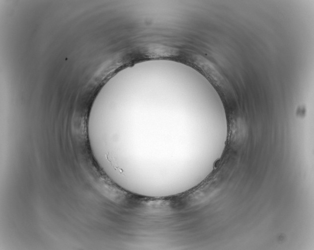 X0000093560426200710291023