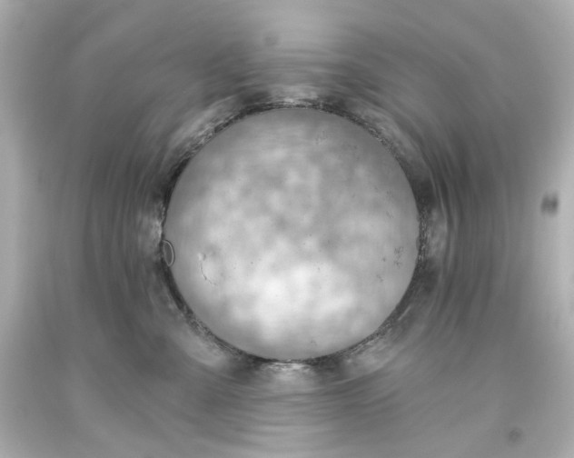 X0000093560427200710291023