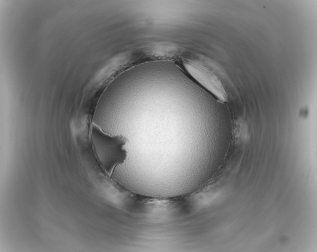 X0000093560428200710291023