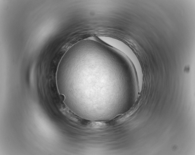 X0000093560429200710291023