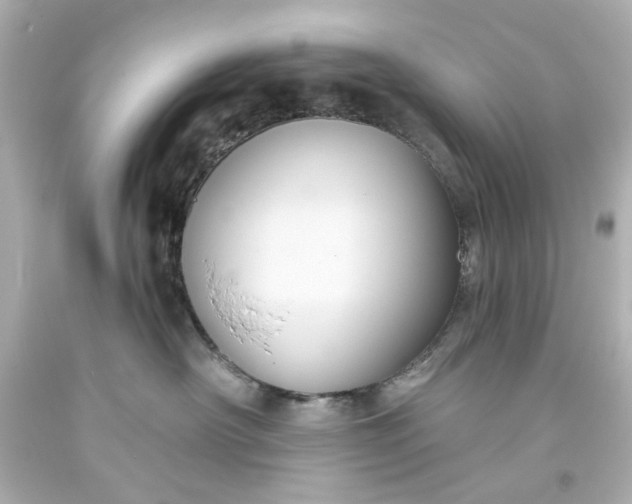 X0000093560430200710291023