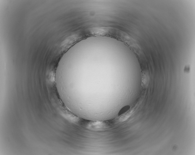 X0000093560431200710291023