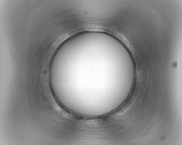 X0000093560433200710291022