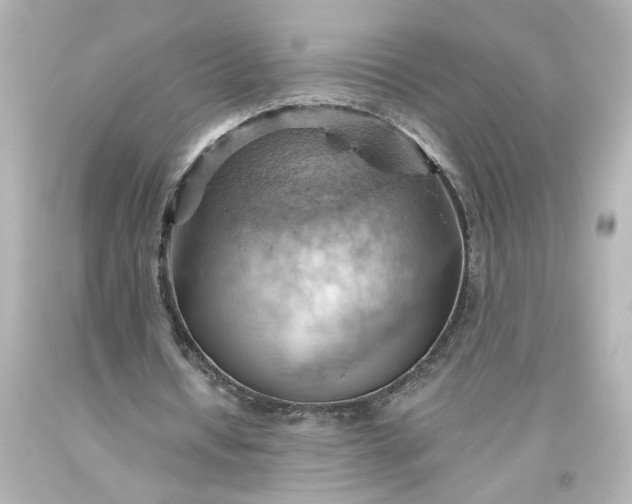 X0000093560434200710291022