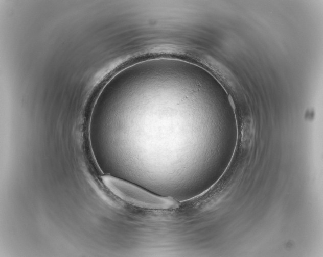 X0000093560436200710291022