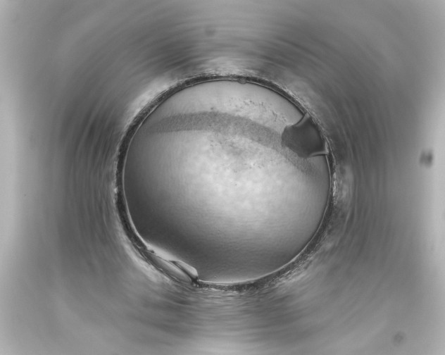 X0000093560438200710291022