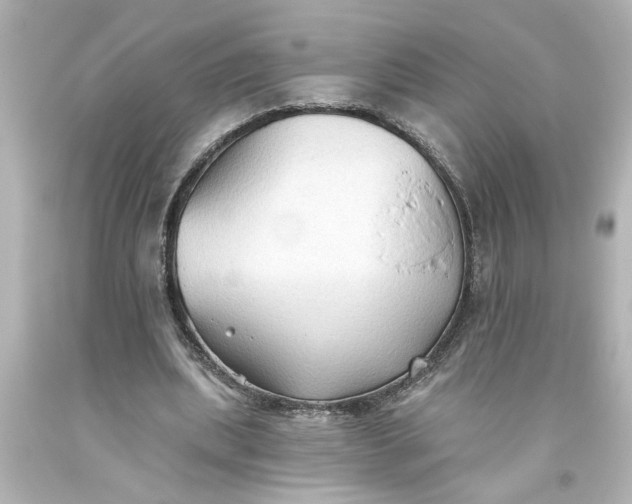 X0000093560439200710291022