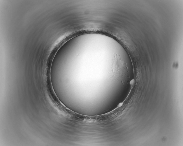 X0000093560440200710291022