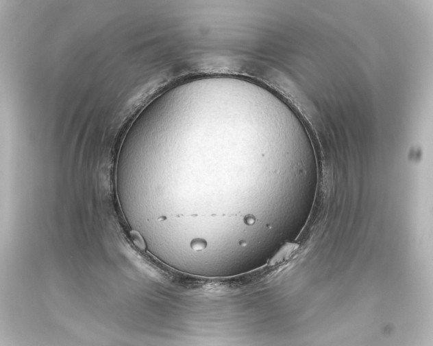 X0000093560441200710291022