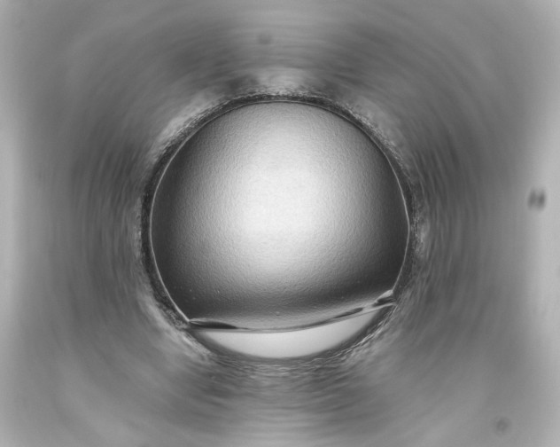 X0000093560442200710291022