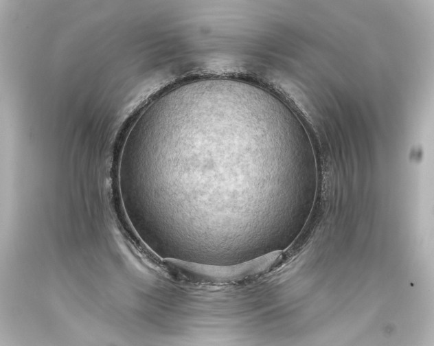 X0000093560443200710291022