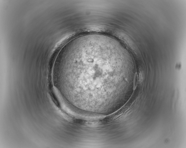 X0000093560444200710291022