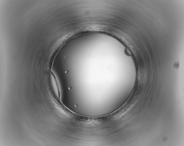 X0000093560445200710291022