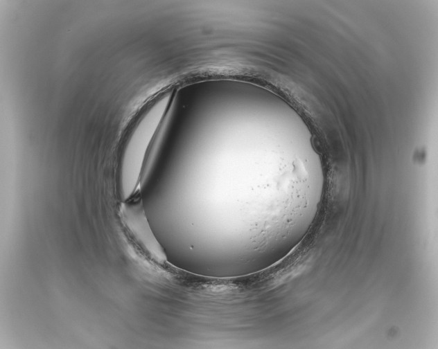 X0000093560446200710291022